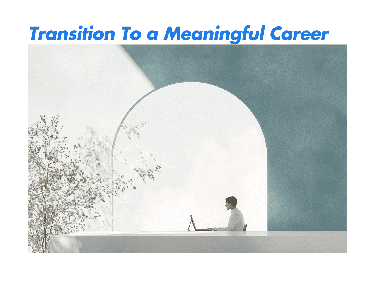 Transition To a Meaningful Career